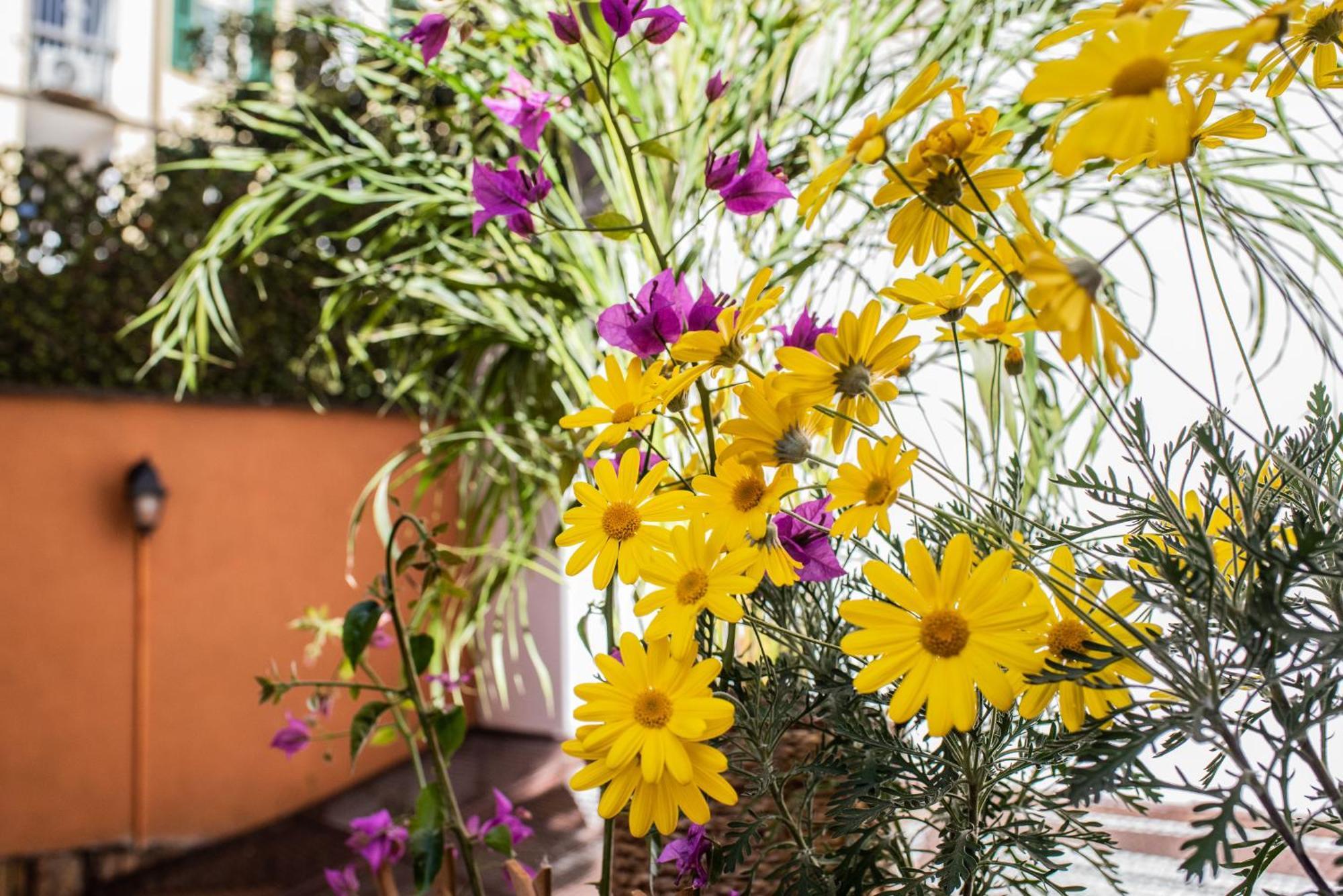 Spanish Steps Apartment & Terrace Roma Exterior foto